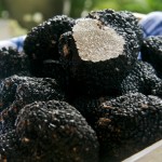 Black Summer Truffle