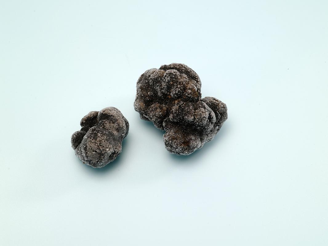 Himalayan Truffle Elite Food Pte LtdElite Food Pte Ltd