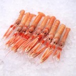 Scampi