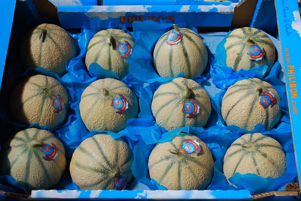 Charentais Melon Elite Food Pte LtdElite Food Pte Ltd