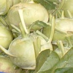 Kohlrabi