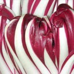 Radicchio Tardivo