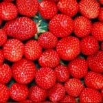 Strawberry Gariguette
