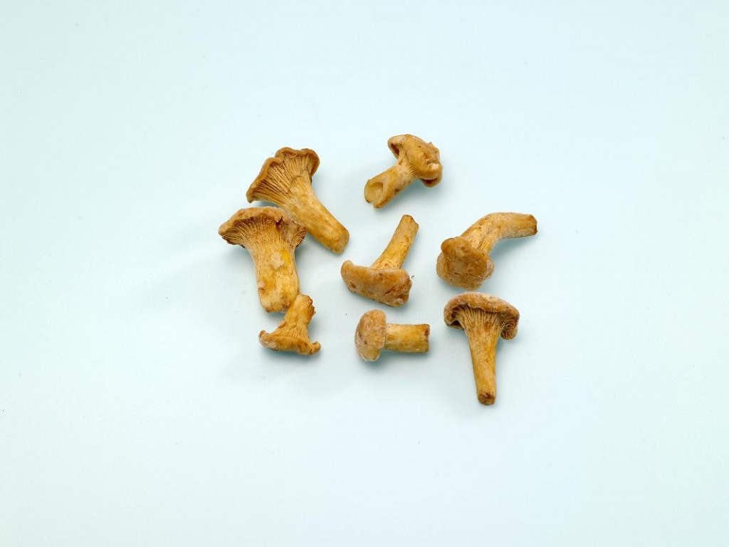 Frozen Chanterelles/Girolle Elite Food Pte LtdElite Food Pte Ltd